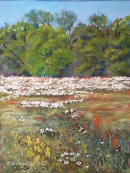 bouquet et plein air