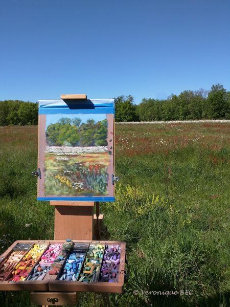 bouquet et plein air