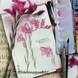 galeries carnet de voyage , peinture huile